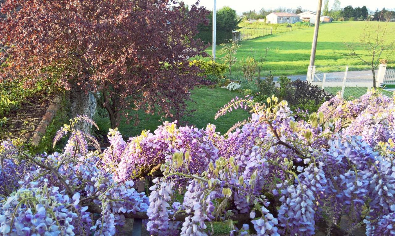 Les Glycines Bed & Breakfast Eymet Exteriör bild